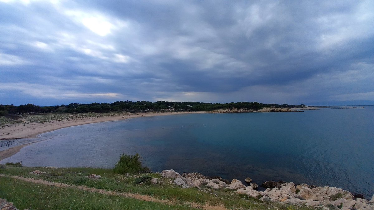 Obro fil botànic (llarg) per explicar-vos la història d'un dels ecosistemes naturals de més valor i més fràgils de l'Escala: La Duna Litoral. Un tram de sorres vora mar de més de 2km entre la platja Del Rec del Molí i el Riuet