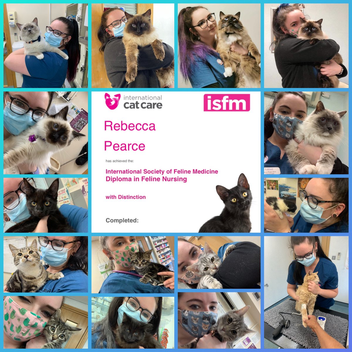 KaragainGeckos's tweet photo. Pleased to say I passed my ISFM diploma in Feline Nursing with distinction #thisisCVS #isfm #icatcare @CVSGroupPlc @ISFMcats @iCatCare https://t.co/qEfdN7egYB