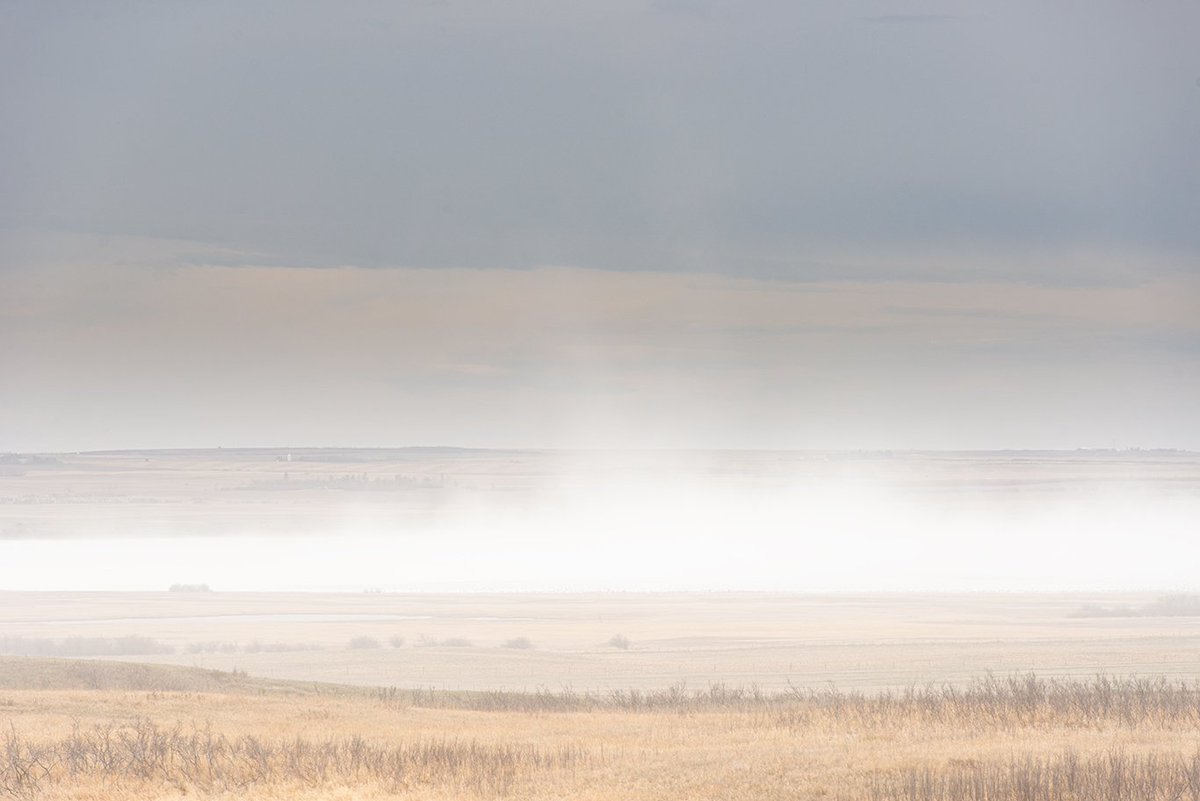 herefordcows's tweet photo. The joys of living in this corner of the #pallisertriangle.  When the #alkali blows. 🤮🤮🤮  Everything is going to be white by morning unless it 🌧 #thissucks https://t.co/1AcvUbMIIV