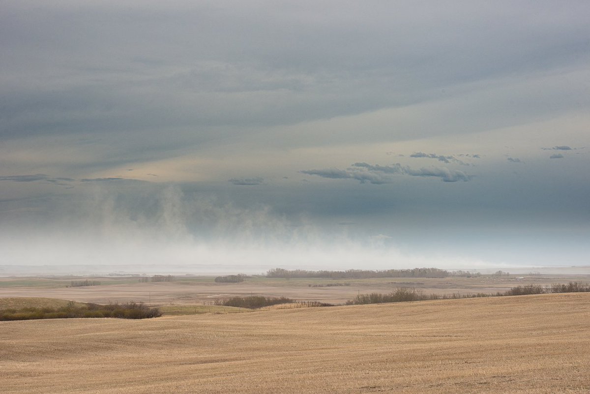 herefordcows's tweet photo. The joys of living in this corner of the #pallisertriangle.  When the #alkali blows. 🤮🤮🤮  Everything is going to be white by morning unless it 🌧 #thissucks https://t.co/1AcvUbMIIV