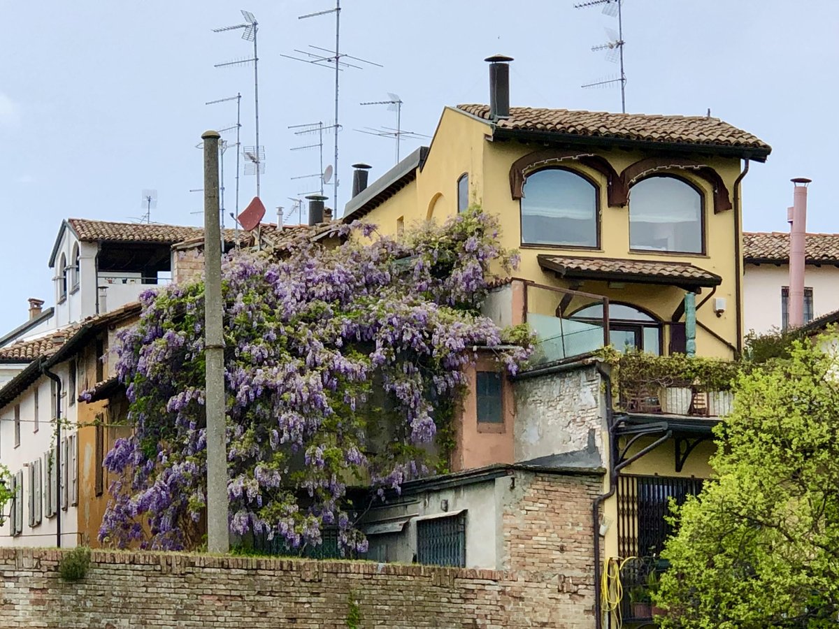 Richard_Bruschi's tweet photo. Secret and historic gardens in Parma, Mantova, and Ferrara. Really interesting. There is often a nice view behind a door or a garden wall. Go visit if you can.

#Parma #Mantova #Ferrara @parmawelcomeoff @parma2021off #InternoVerde @ERTourism https://t.co/WAfKJLqBzE