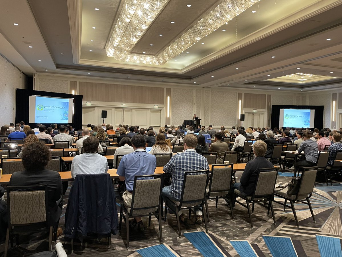 Jennbrophy.bsky.social tweet media