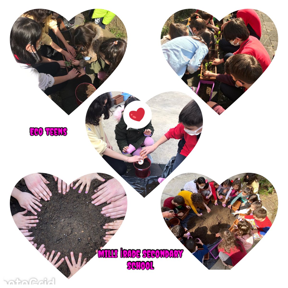 Eco Teens projesi kapsamında topraktan hayata etkinliği gerçekleştirildi #milliiradeortaokulu <a href="/bekyurek/">ONUR BEKYÜREK</a> <a href="/Ordu_MEM/">Ordu İl Millî Eğitim Müdürlüğü</a> <a href="/burcakARGE/">BURÇAK ÖZYURT</a> <a href="/mfvargeloglu/">MEHMET FATİH VARGELOĞLU</a> <a href="/eTwinningDestek/">eTwinning Projects Dissemination</a> <a href="/tretwinning/">eTwinning Türkiye</a> <a href="/sahinerkut/">Erkut ŞAHİN</a> <a href="/OrduARGE/">OrduARGE52</a>