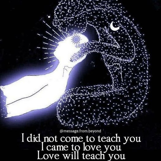 JinNana (@jinmeina888) on Twitter photo 