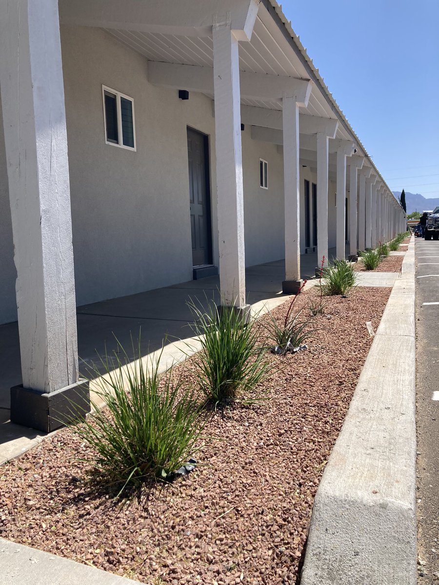 pptach's tweet image. Site views #528development #developerdriven