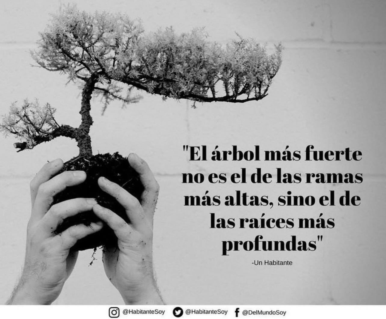 Microprocesador Escarpa Derivar HABITANTE på Twitter: "El árbol más fuerte no es el de las ramas más altas, sino el de las raíces más profundas. #Habitante #Historias #Pensamientos #Reflexiones #FelizJueves #ColoniaRoma #Losbuenossomosmás #Quelasredesnosunan #LosTigresdelNorte https ... Microprocesador Escarpa Derivar HABITANTE på Twitter: "El árbol más fuerte no es el de las ramas más altas, sino el de las raíces más profundas. #Habitante #Historias #Pensamientos #Reflexiones #FelizJueves #ColoniaRoma #Losbuenossomosmás #Quelasredesnosunan #LosTigresdelNorte https ...