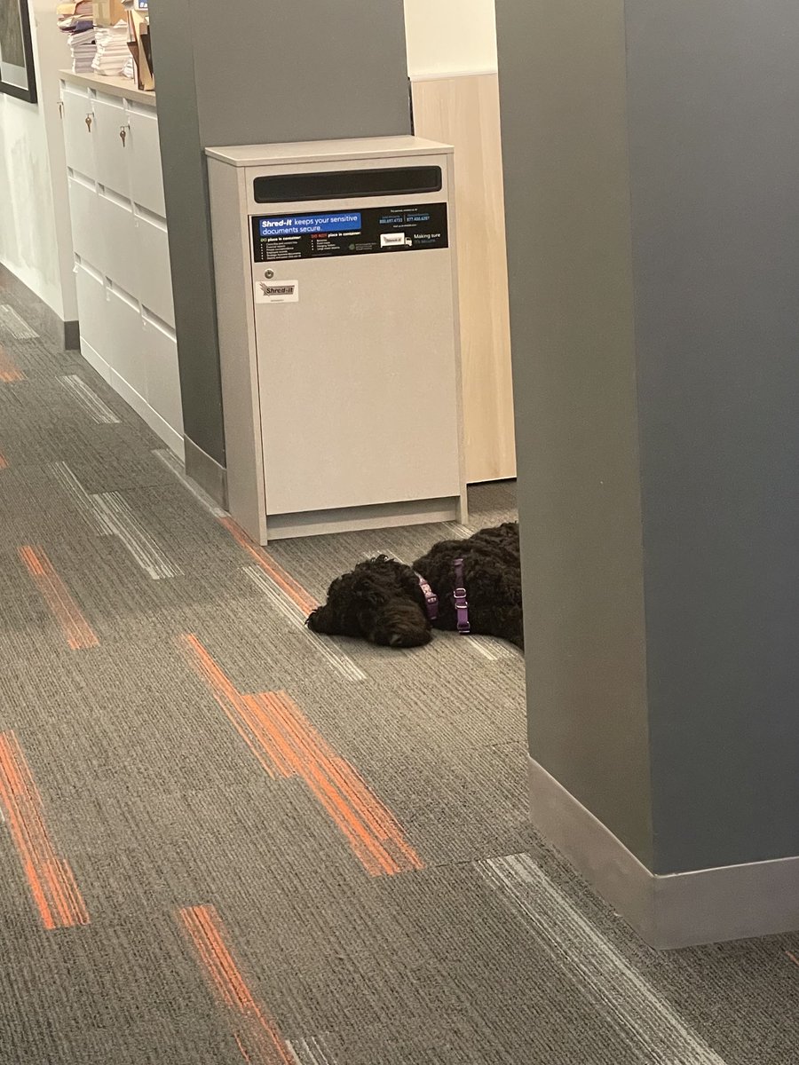 Kate Mazzucco tweet media