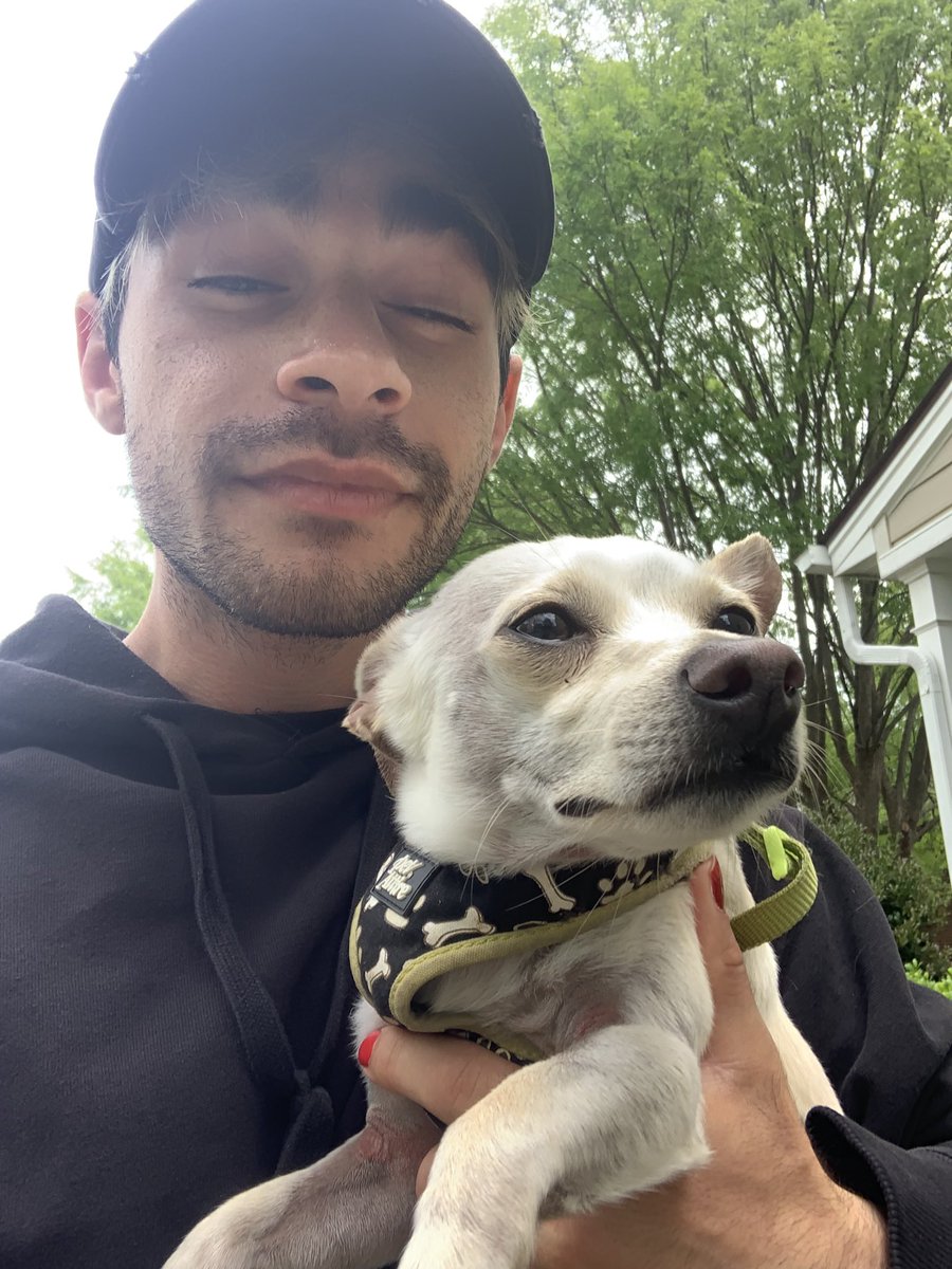 samtré 🍝 tweet media