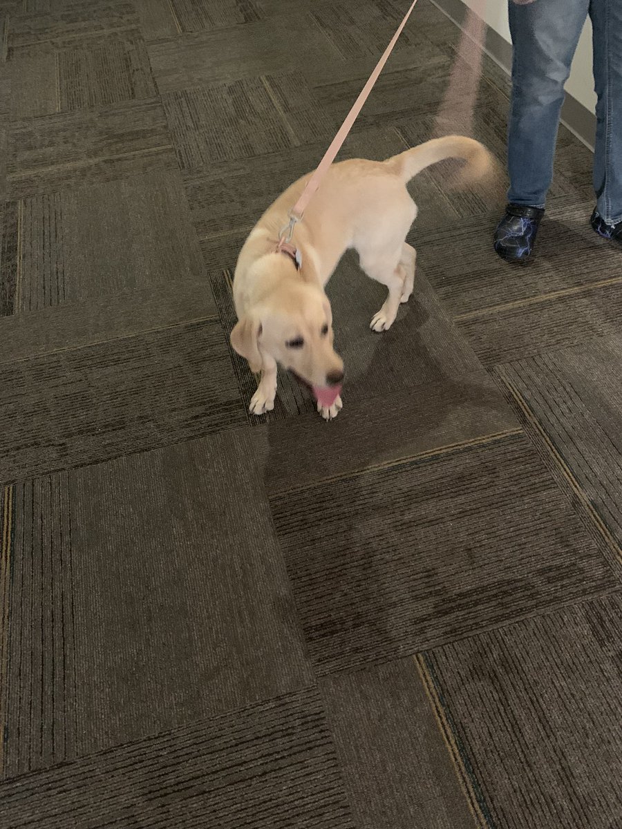 samtré 🍝 tweet media