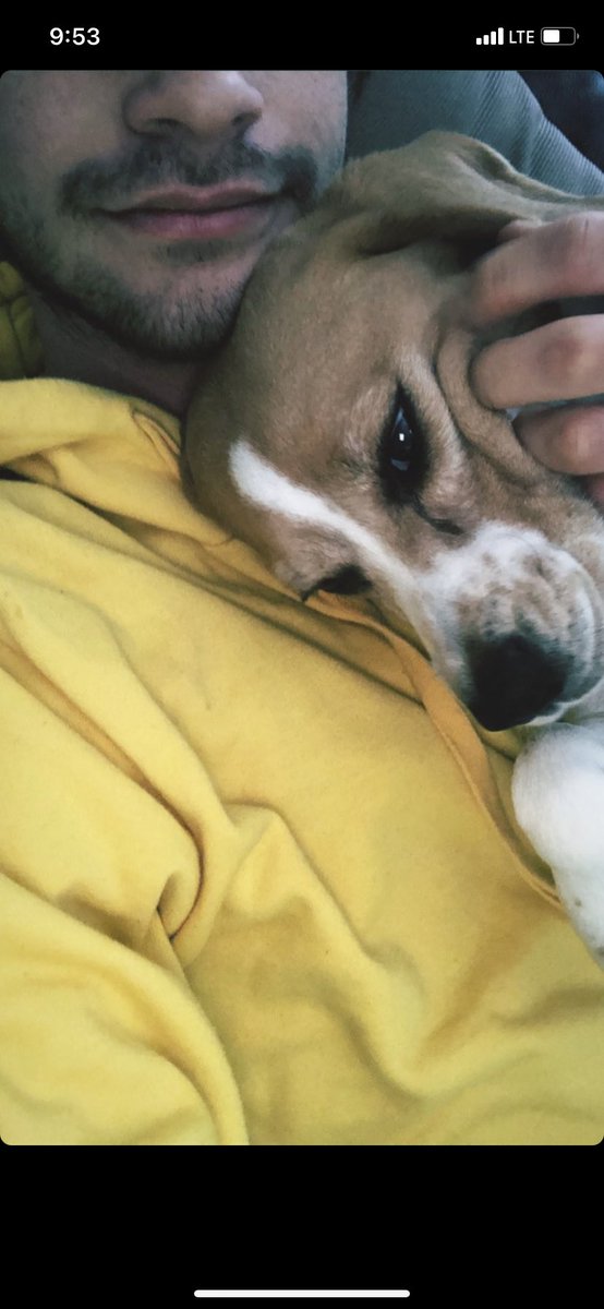 samtré 🍝 tweet media