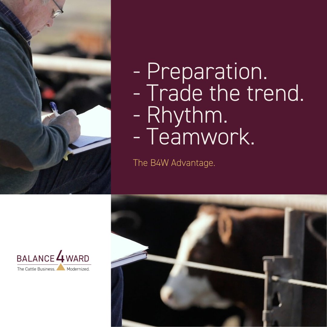 BALANCE4WARD tweet media