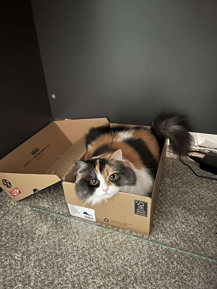 bromatticus's tweet photo. @engineers_feed Cat beds apparently. https://t.co/HLRXK0N1Ro