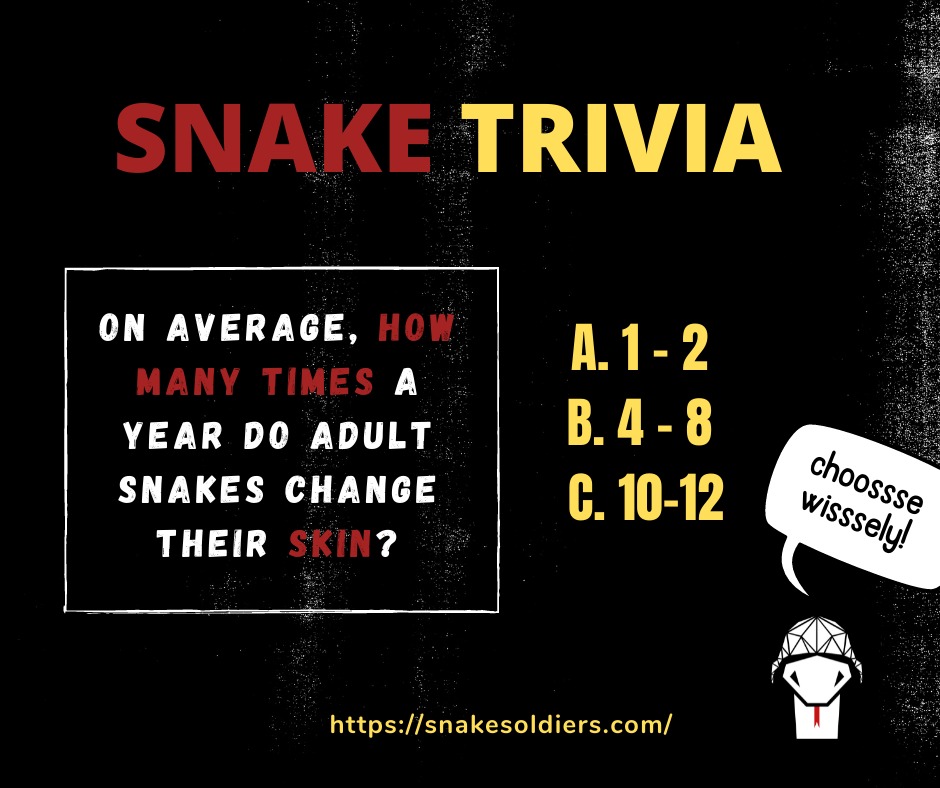 snakesoldiers's tweet photo. Hello🐍!
 
Today we have a trivia for you🔥. People who participate and get their answersss correct will be eligible to win a $RCRT token, which will be your ticket to the WL sssale. 
 
Follow us✅
Tag 2 friends  🫂 and 
Quote the tweet with your answer♻️. 

#TriviaThursday #NFT https://t.co/l9SJf6ScHa
