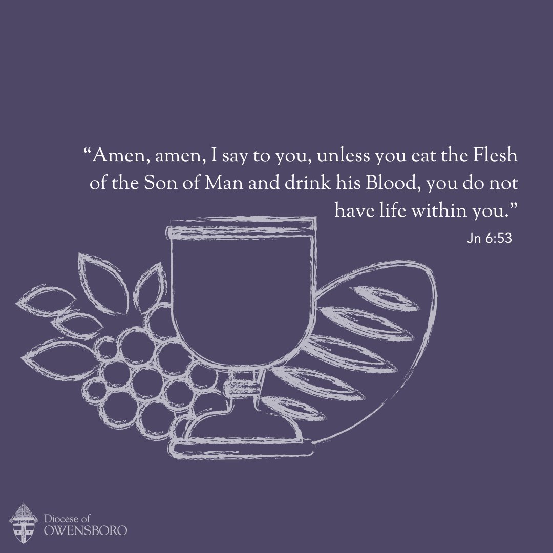Owensboro1937's tweet photo. βAmen, amen, I say to you, unless you eat the Flesh of the Son of Man and drink his Blood, you do not have life within you." Jn 6:53
#john #gospel #GospelOfJohn #scripture #Scripturefriday #bible #dailyreading #catholic #Eucharist https://t.co/m8JhU9rx4u