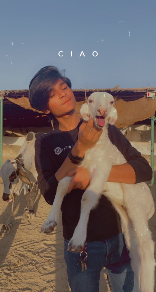 Shayan Imran (@Shayanimran727) / Posts / X