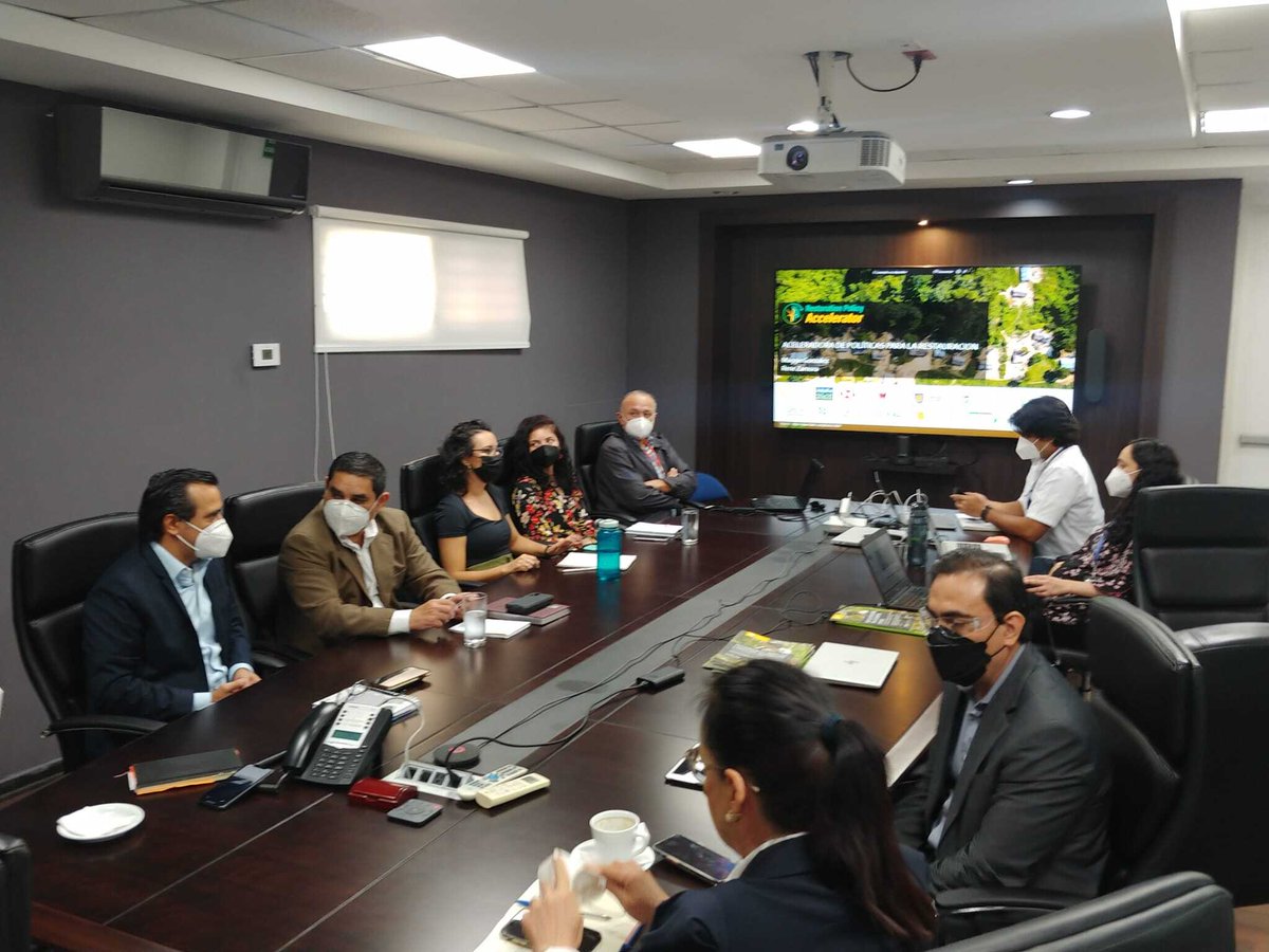 restoreforward's tweet photo. Our #PolicyAccelerator team in action!

This week, they are meeting with Minister Fernando Andrés López Larreynaga and @marn_salvador to solve policy bottlenecks. Together, they are developing better ways to pay people to grow trees! https://t.co/HsxtwBS9PJ