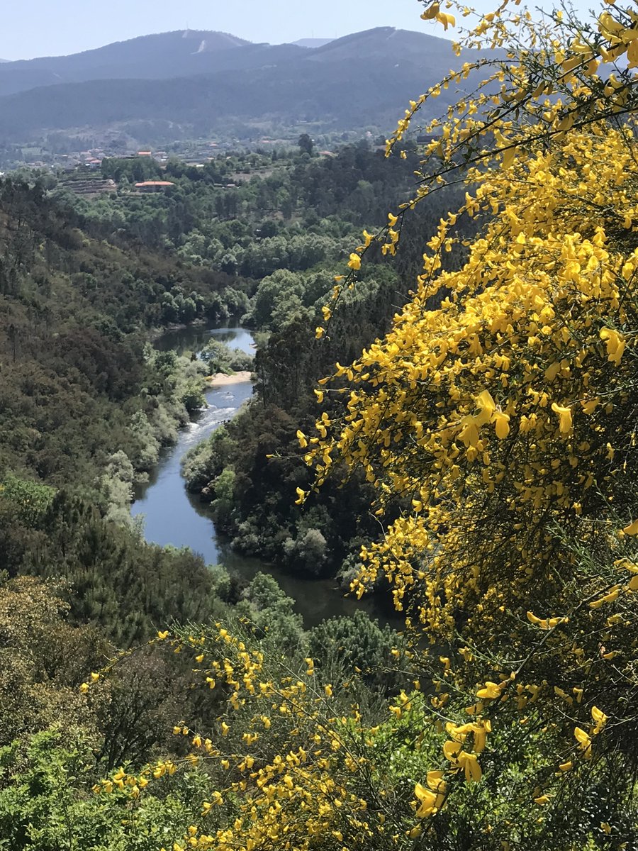 cpt340's tweet photo. Lá ao fundo o Monte Farinha, também conhecido por Senhora da Graça, pesadelo dos ciclistas profissionais. Os amadores limitam-se a vê-lo à distância sem vontade de subir. Mais um dia de sublime encantamento por trilhos e caminhos nunca antes pedalados. Abençoado país o nosso https://t.co/EUgMdwnqh3