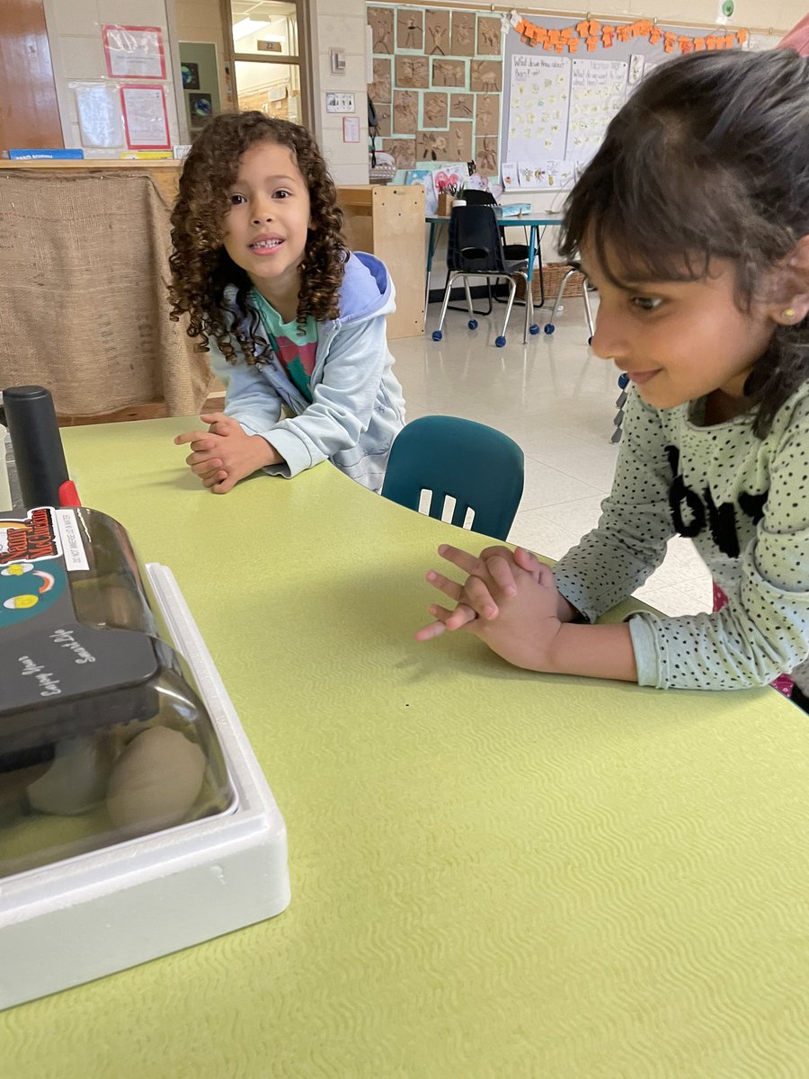 MrsKemski's tweet photo. Our first duckling! This little one got moved to the enclosure with a heater while we await for the siblings to peck their way through. Kβs were very excited and, clearly, I am in love as well. @MrsEllahib #ducklings #Kindergarten #eggshatching https://t.co/DlGxV1dQTP