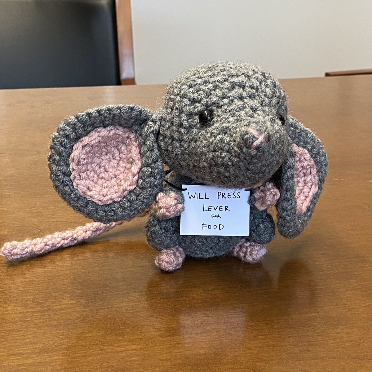 RachelSmith_PhD's tweet photo. A student in my Drugs &amp; Behavior course MADE this. How cute is that? https://t.co/HeUyOkg8xr