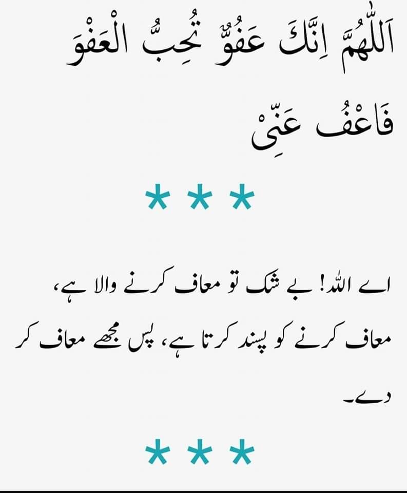 مہرو tweet media