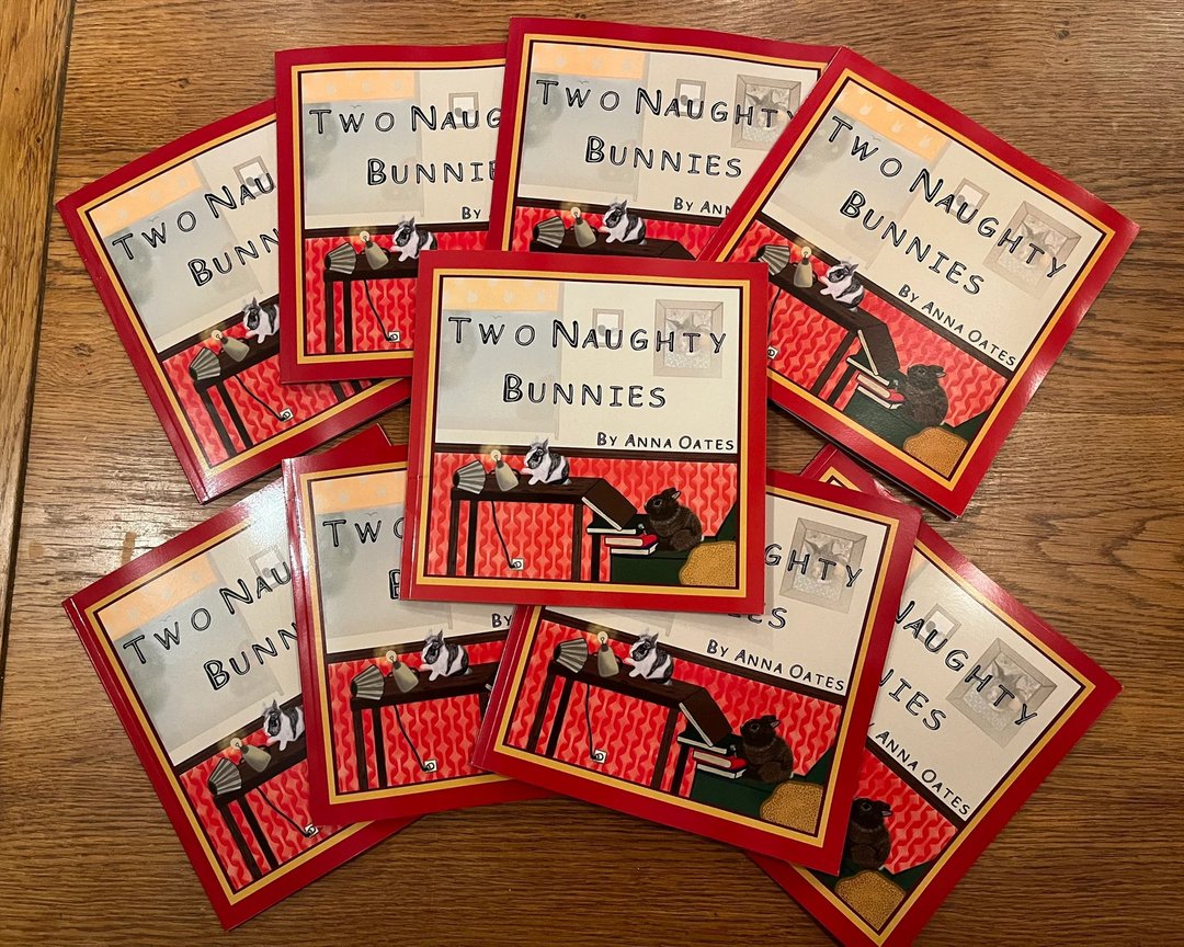 RabbitRetailUK's tweet photo. #NewProduct A perfect bedtime story by @TheWarrenCreations about her Two Naughty Bunnies Luna and Benjamin.
#Bunny #Rabbit #OneHopShop #RabbitRetail #BunnyTheme #RabbitThemedGifts #BunnyLover #RabbitLover #GiftsForRabbitPeople #CrazyRabbitLady #CrazyRabbitMan #RabbitFans #Book https://t.co/eqzyxxRP6a