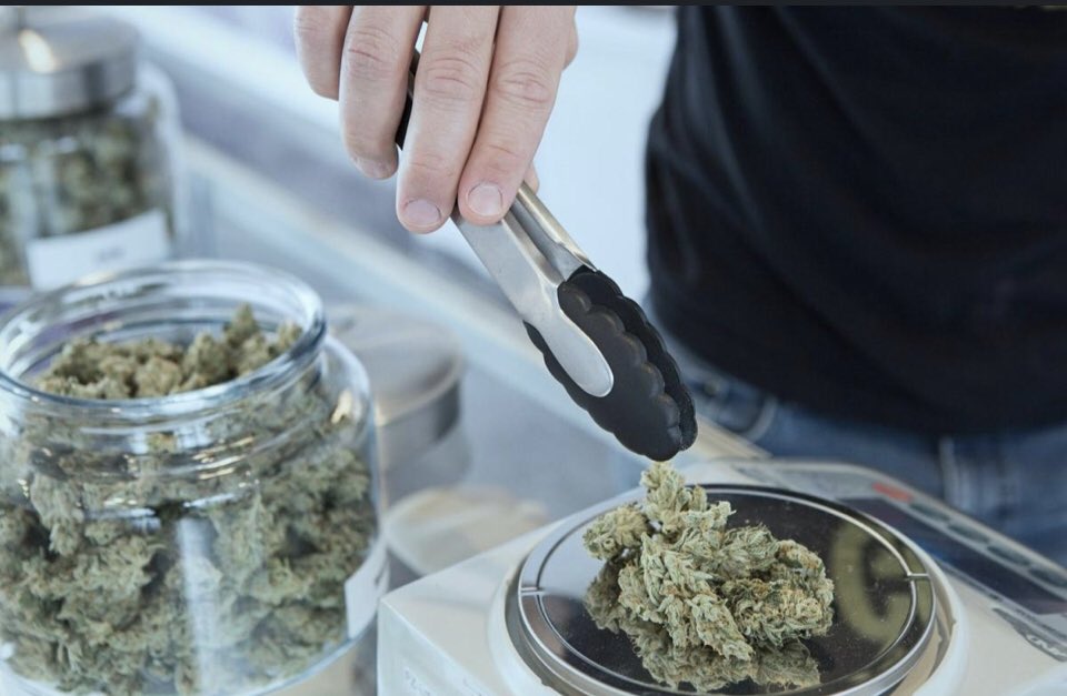 nick | freedom writer tweet media