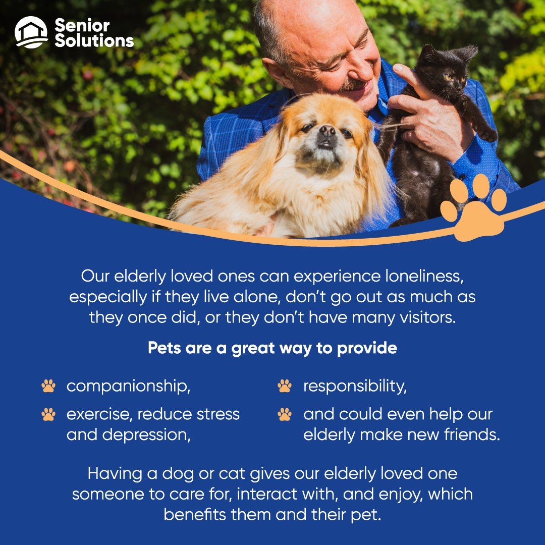 SSCares247's tweet photo. Our elderly often experience loneliness, having a pet an greatly alleviate that feeling and give our elderly loved ones a great companion. https://t.co/q2dmzHDpEP
