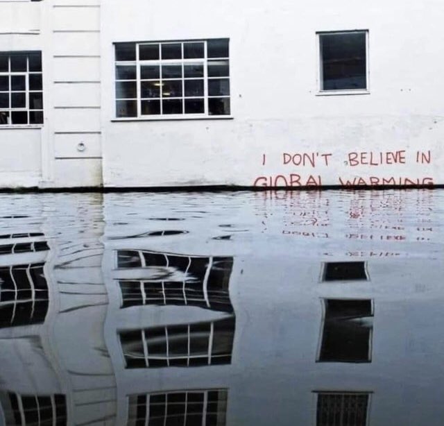 Libs on Social 🫂 (@libsonsocial) on Twitter photo 