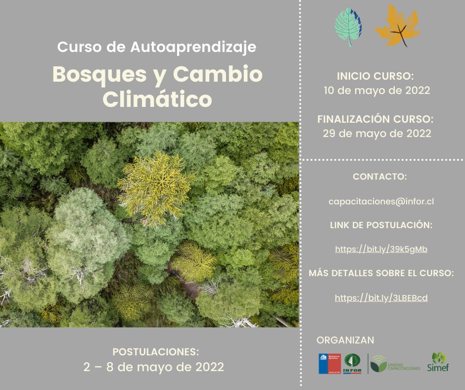 ❇️ CURSO INFOR - SIMEF 
“Bosques y Cambio Climático"

🙋🏽‍♂️🙋🏻‍♀️Dirigido a profesionales y técnicos del sector silvoagropecuario.

INFO👇🏻👇🏻👇🏻👇🏻👇🏻👇🏻👇🏻👇🏻👇🏻👇🏻👇🏻

Formulario de postulación: bit.ly/3KNja6O
 
Más detalles sobre el curso: bit.ly/3KOzdkz