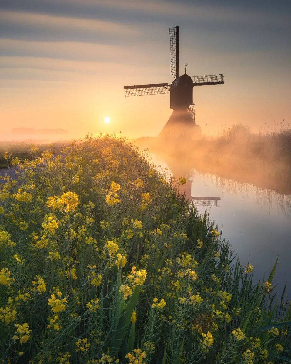 Mooie vrijdag! 💛

📸 Rick Bekker #Goedemorgen