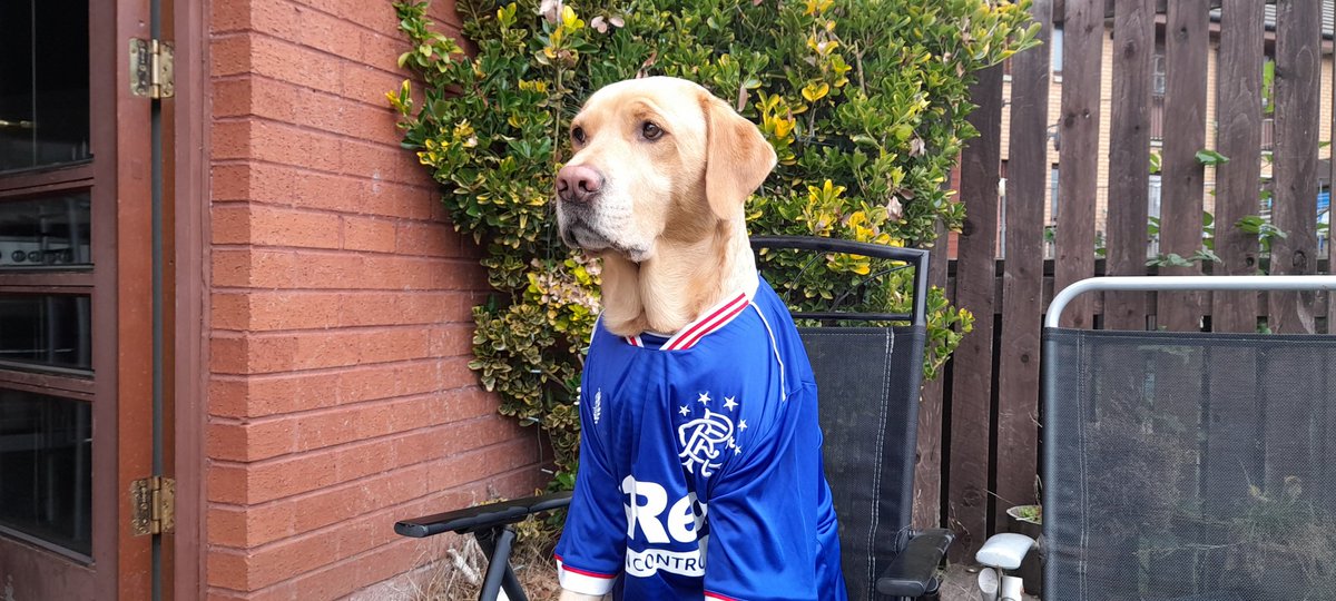 WeeBarkley's tweet photo. #rangers 👍 https://t.co/bID8gtObZC