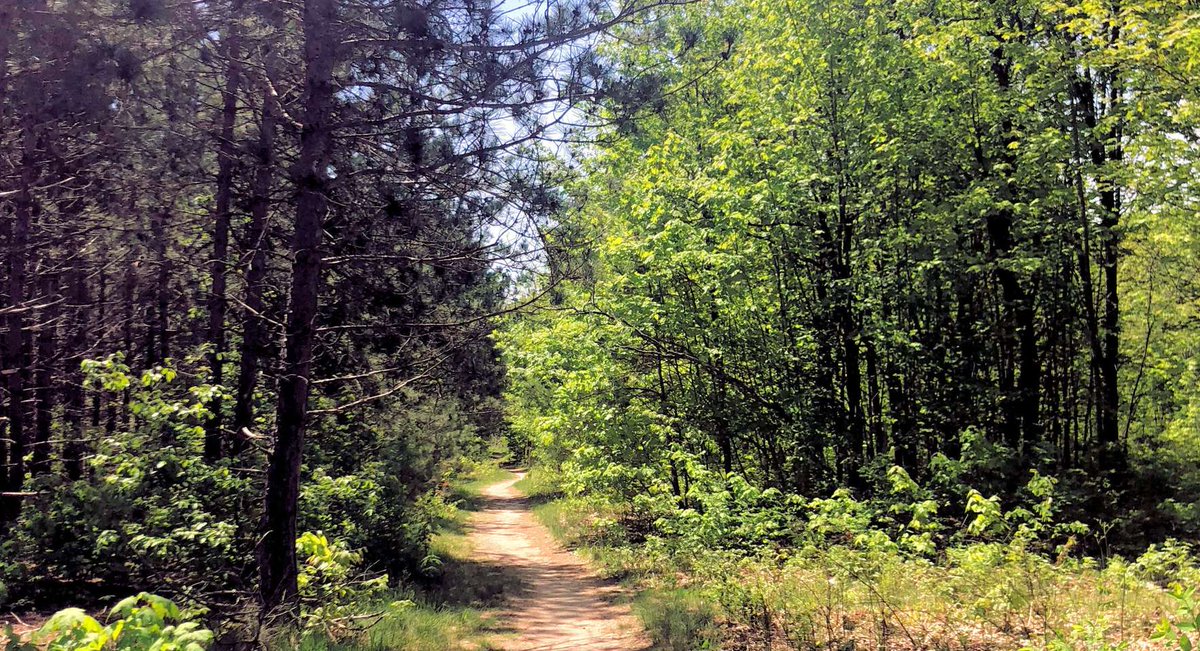 What could feel better than hiking in the woods, spotting a beautiful bird, listening to the birds sing AND saving on lodging with our Spring Specials? Trout Creek Vacation Rentals in the Harbor Springs - Petoskey Area. 800-748-0245 troutcreek.com/accommodations…