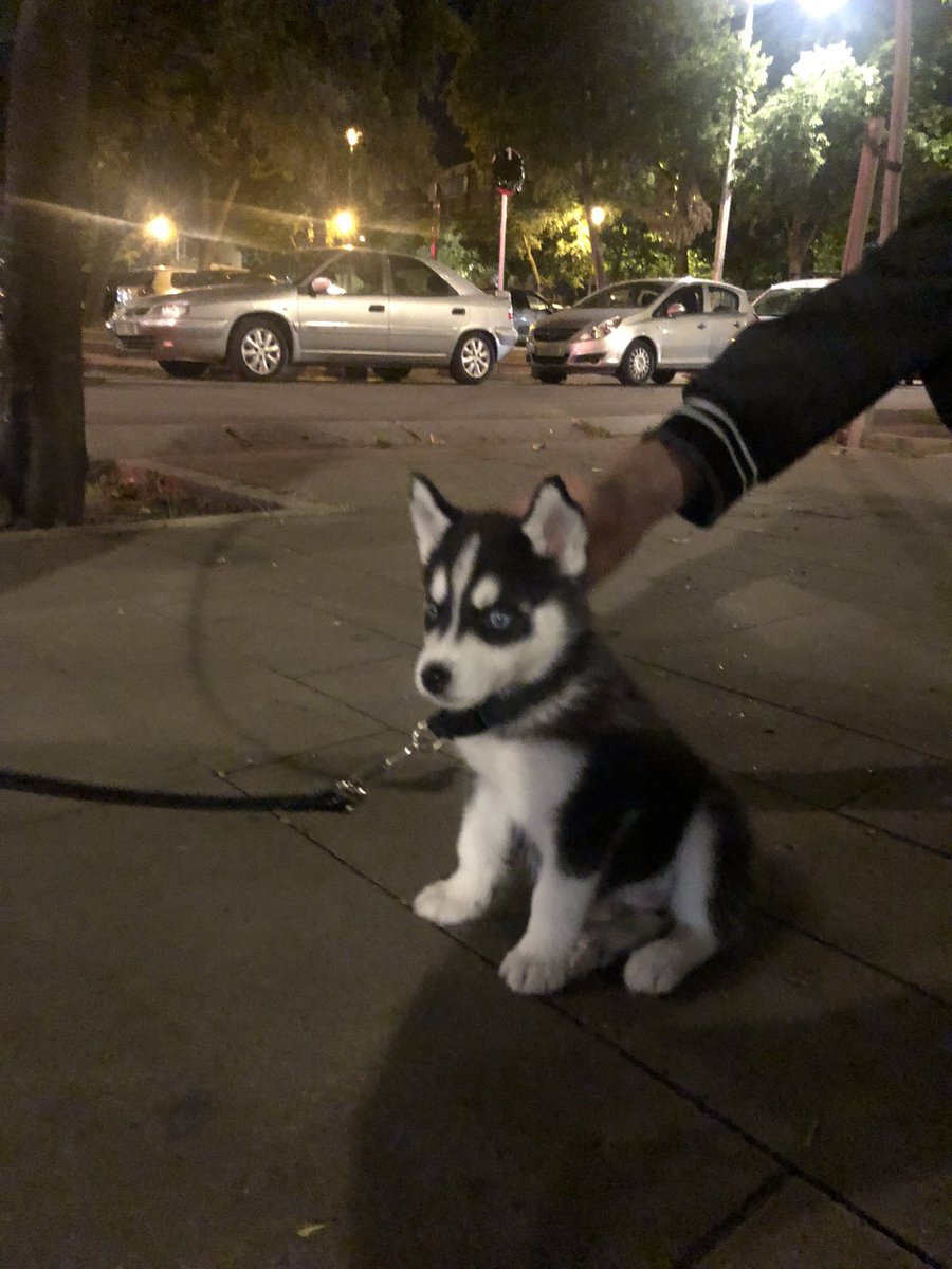 Lo más bonito que he visto hoy 🥲😍
