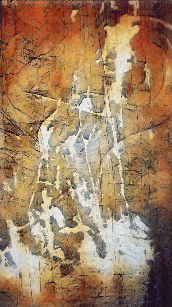 Reptilian & Skinerx NFT👽🛸 tweet media