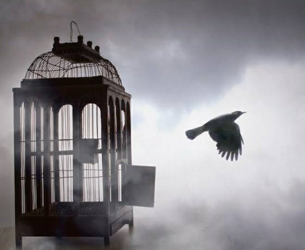 InTheParallel1's tweet image. 