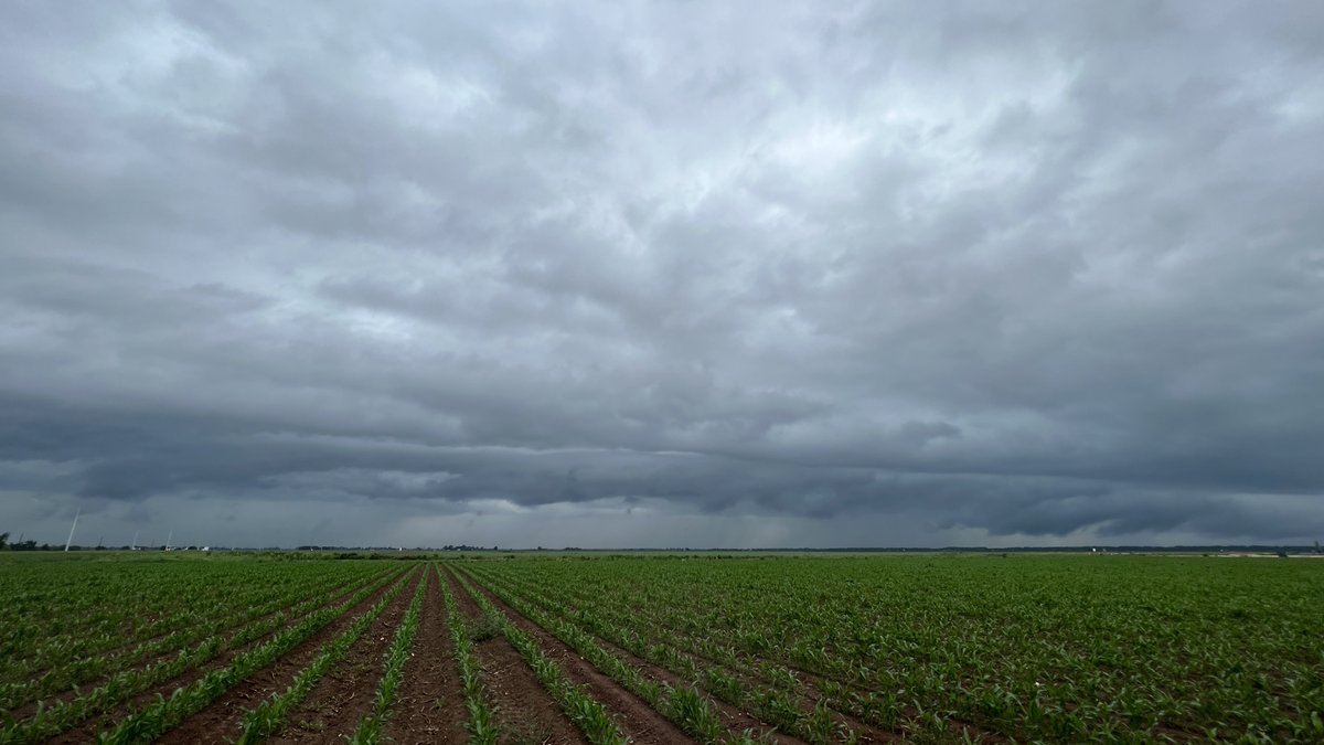 Approaching west B/CS. 4:15pm. @KBTXShel
