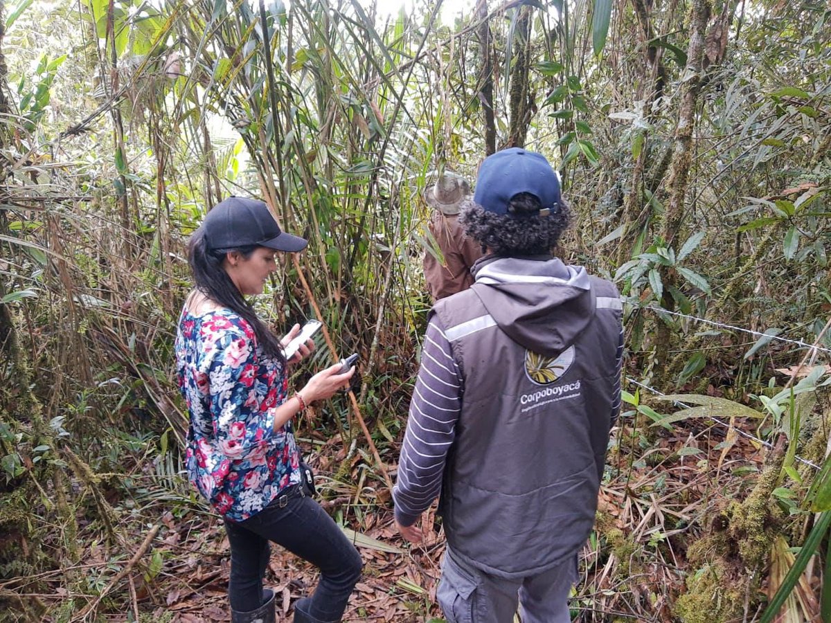 Corpoboyaca's tweet photo. Equipo de #BoyacáReverdece,  recibió obras en los diferentes municipios donde se ha realizado restauración ecológica🌳🌳🌳, en el marco del convenio 003-2021 firmado entre @Corpoboyaca y la Corporación @MasBosquesCol

🧶 Hilo 🧵 https://t.co/ygeJboat5v