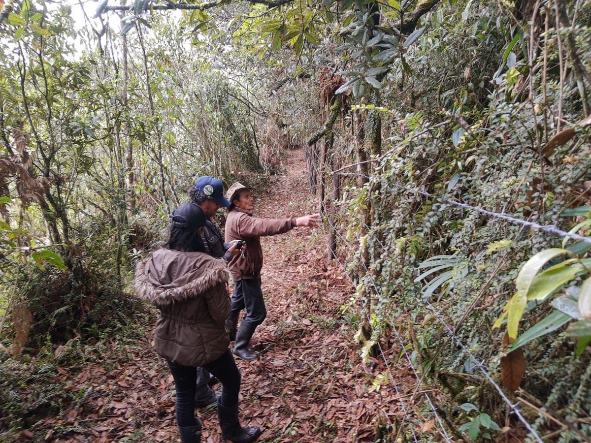 Corpoboyaca's tweet photo. Equipo de #BoyacáReverdece,  recibió obras en los diferentes municipios donde se ha realizado restauración ecológica🌳🌳🌳, en el marco del convenio 003-2021 firmado entre @Corpoboyaca y la Corporación @MasBosquesCol

🧶 Hilo 🧵 https://t.co/ygeJboat5v