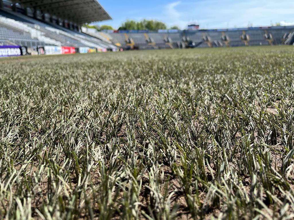 George A Mullan tweet media