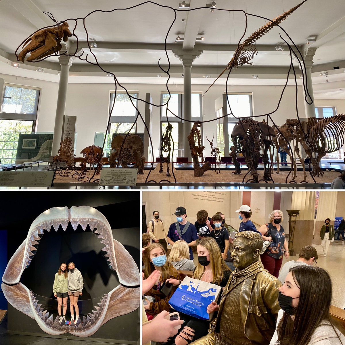 mrscring's tweet photo. Sophomore Class &amp; Earth Science trip to Museum of Natural History. Thanks Mrs. Herring &amp; Mr. Porta! @mhsblazers @MillbrookCSD_NY https://t.co/OCCPfySm9X