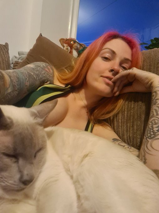 Tired kitties ? https://t.co/q3RmlDtHl8
