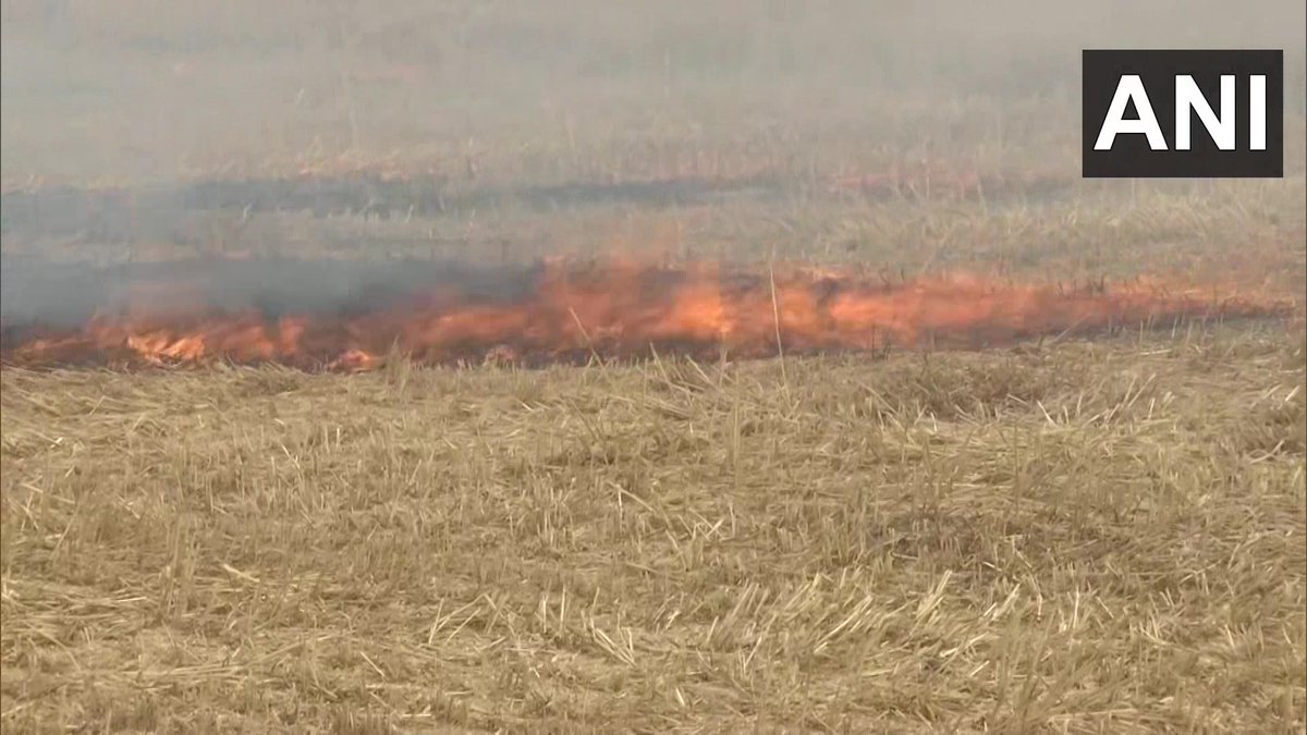 ANI's tweet photo. Punjab | Stubble burning in Tangra village of Amritsar

Farmer burn stubble to clear his field, we don't promote this. If Punjab govt gives us a subsidy of Rs 6000 per acre, no farmer will have to burn stubble: Sarwan Singh Pandher, Punjab General Secy,Kisan Majdoor Union (05.05) https://t.co/Bge2ZkJmR7