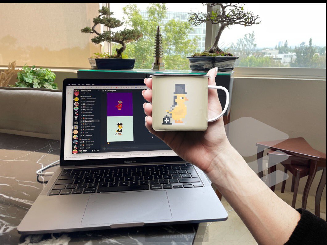 Miguel Kelly tweet media