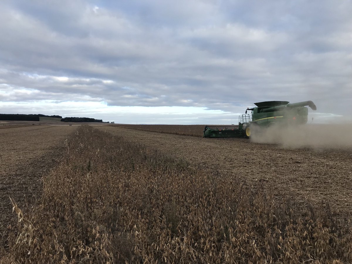 TelecheaFacundo's tweet photo. Cosechando franjas de ensayo de herbicidas, utilizados como rescates, para  el control de yuyo colorado y crucíferas resistentes en el cultivo de soja. #experimentación #asesoramiento https://t.co/6YrIDboAOv
