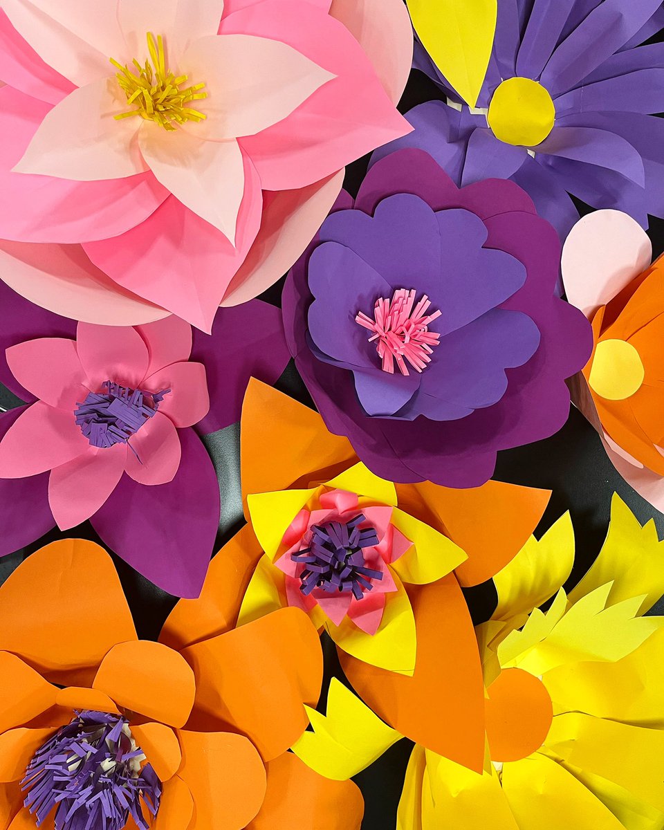 ms_bock_art's tweet photo. In love with these beautiful monumental paper flowers that 7th and 8th graders made for the spring concert! 😍 they’re at least double or triple the size of their heads! https://t.co/gIDeFB1EW3