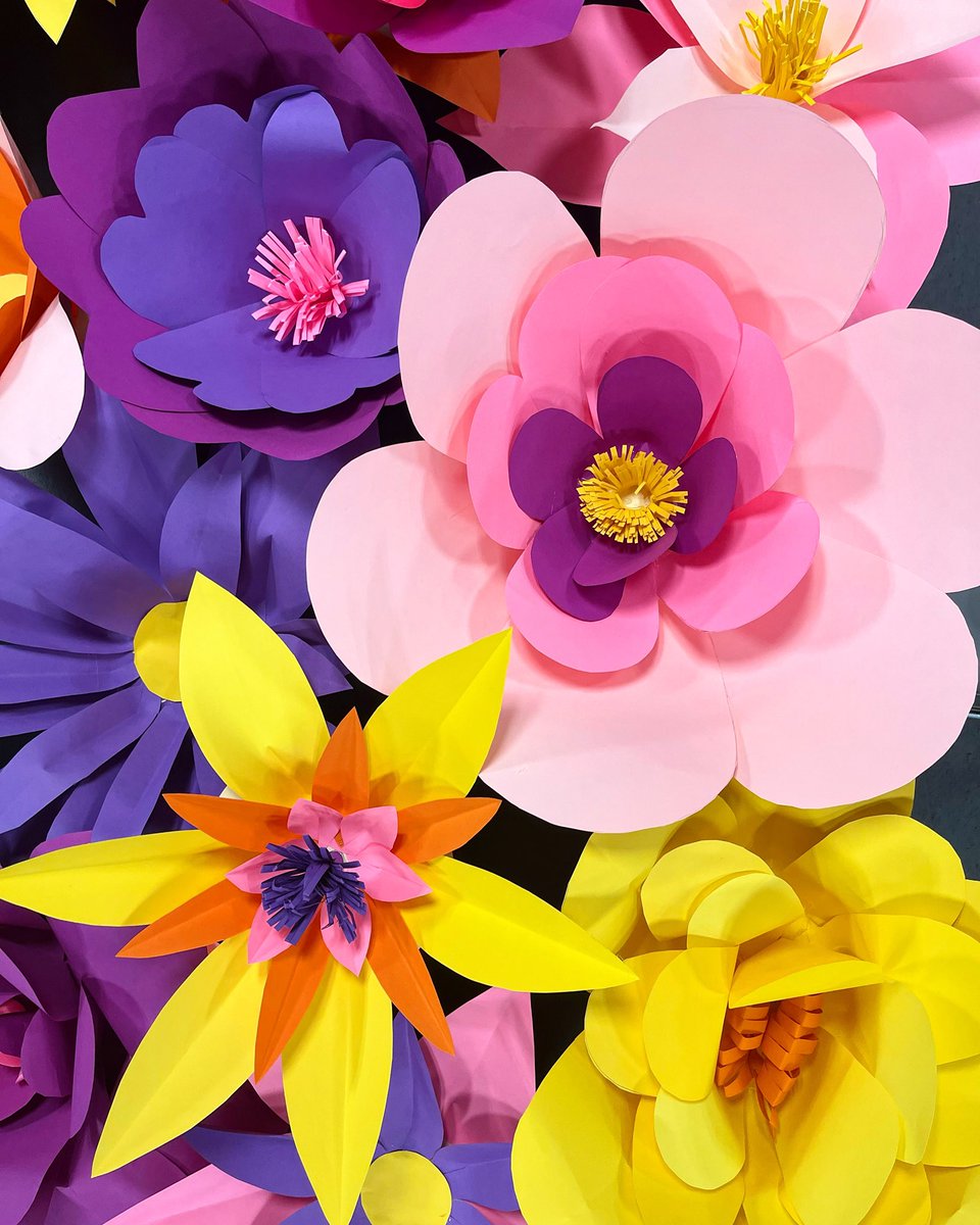 ms_bock_art's tweet photo. In love with these beautiful monumental paper flowers that 7th and 8th graders made for the spring concert! 😍 they’re at least double or triple the size of their heads! https://t.co/gIDeFB1EW3