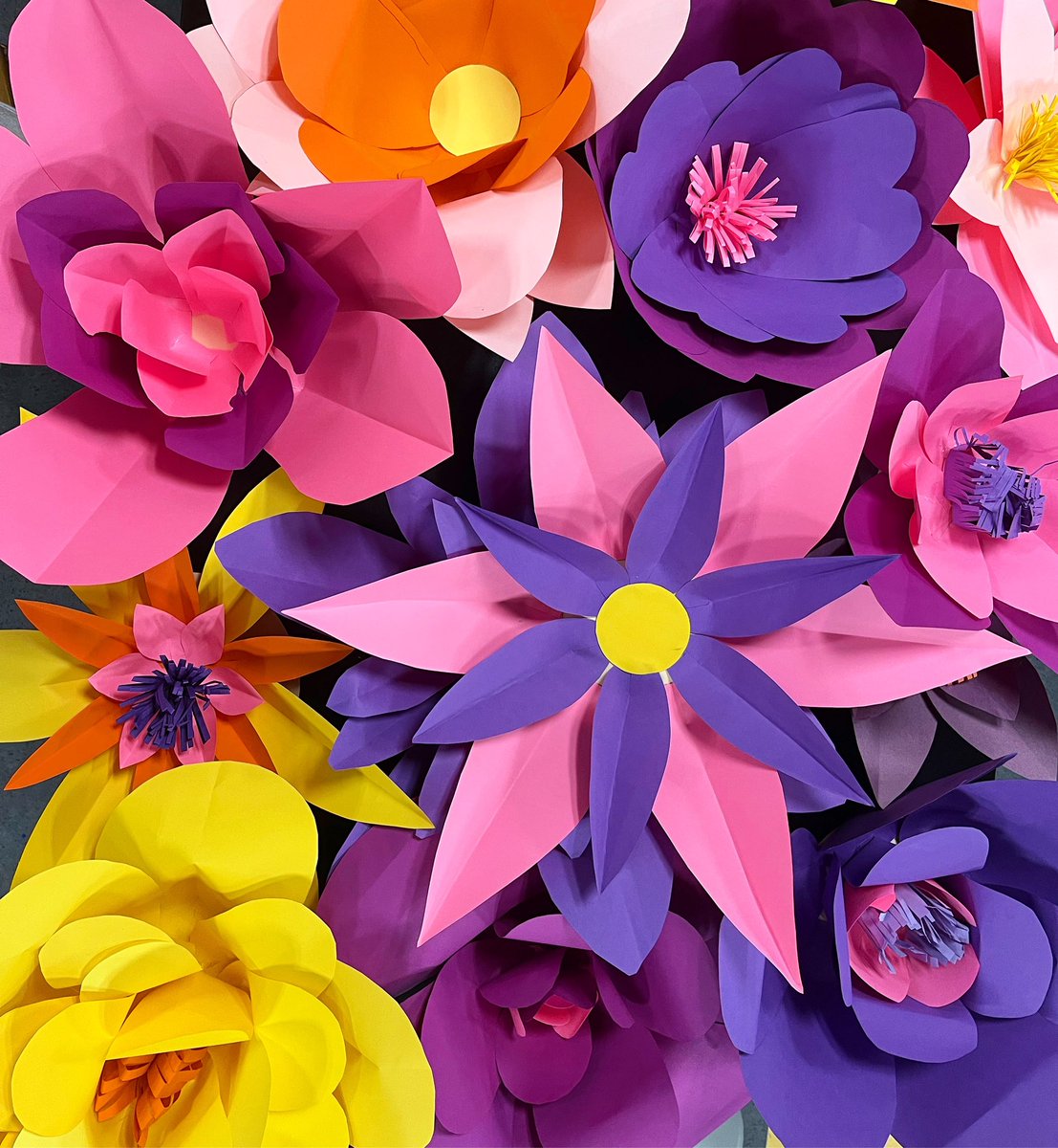 ms_bock_art's tweet photo. In love with these beautiful monumental paper flowers that 7th and 8th graders made for the spring concert! 😍 they’re at least double or triple the size of their heads! https://t.co/gIDeFB1EW3