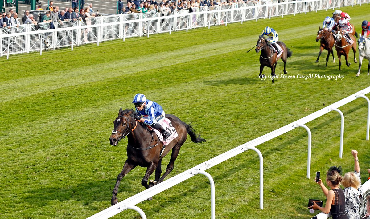 Steven Cargill tweet media