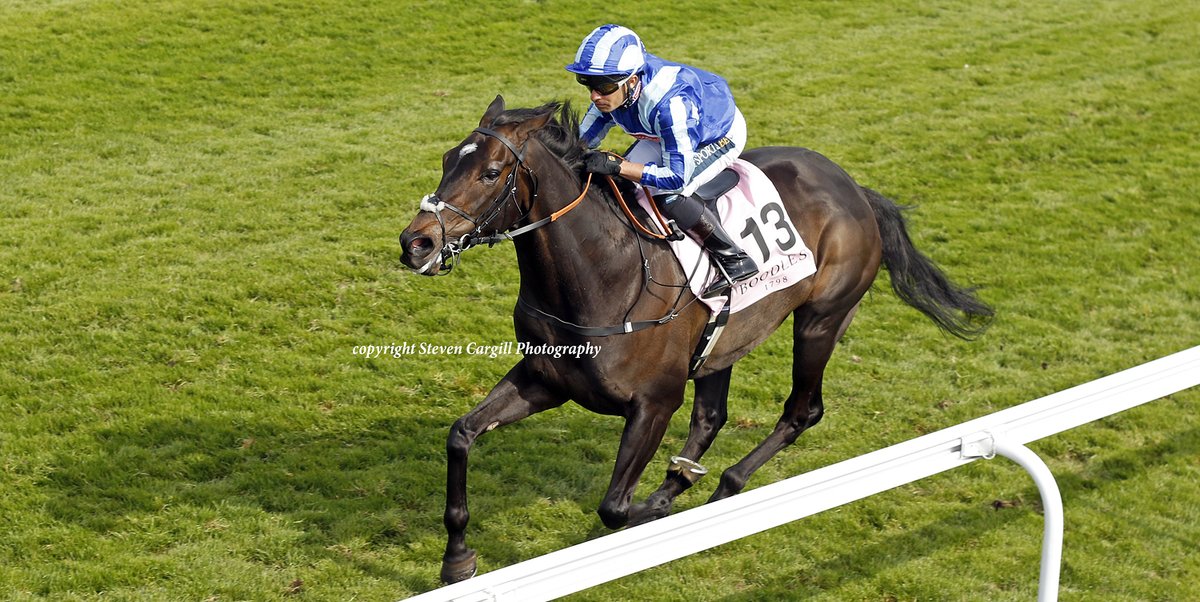 Steven Cargill tweet media