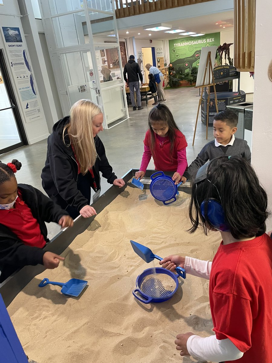 Ms. Megan tweet media